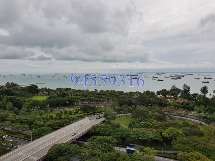 Lagoon View (D15), Apartment #160734892